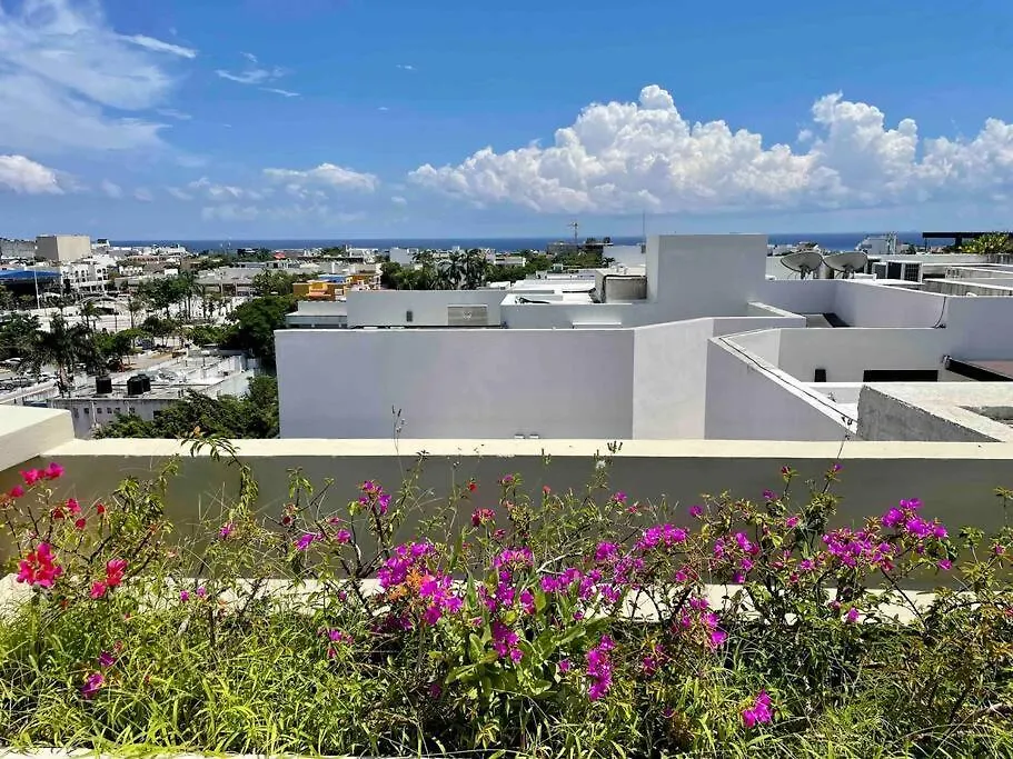 Cozy Loft With Poolside Terrace Apartment Playa del Carmen