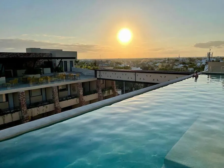 Cozy Loft With Poolside Terrace Apartment Playa del Carmen