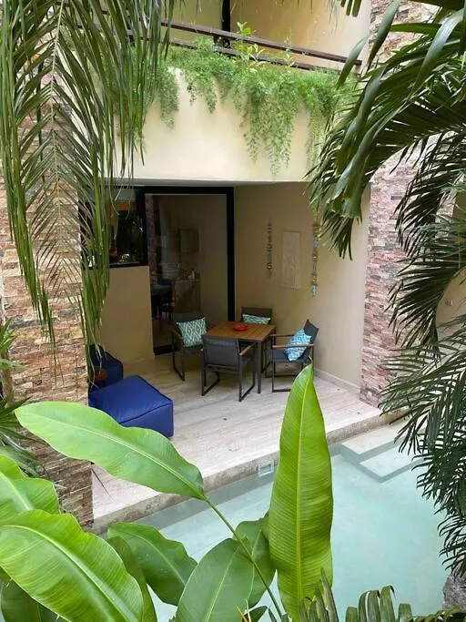 Cozy Loft With Poolside Terrace Apartment Playa del Carmen